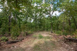 property photo for Wagon Wheel Ranch Tract 26, 8.14 acres for sale in Dent County, Missouri