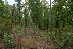 property photo for Wagon Wheel Ranch Tract 26, 8.14 acres for sale in Dent County, Missouri