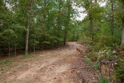 property photo for Wagon Wheel Ranch Tract 27, 11.04 acres for sale in Dent County, Missouri