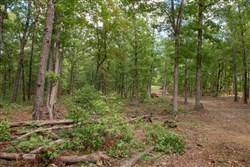 property photo for Wagon Wheel Ranch Tract 27, 11.04 acres for sale in Dent County, Missouri