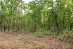 property photo for Wagon Wheel Ranch Tract 27, 11.04 acres for sale in Dent County, Missouri