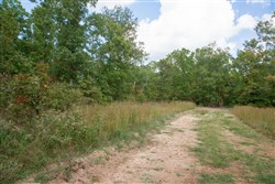 property photo for Wagon Wheel Ranch Tract 27, 11.04 acres for sale in Dent County, Missouri