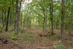property photo for Wagon Wheel Ranch Tract 27, 11.04 acres for sale in Dent County, Missouri