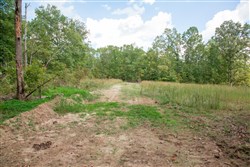 Wagon Wheel Ranch Tract 28