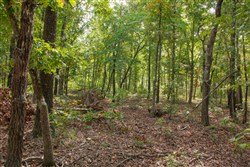 Wagon Wheel Ranch Tract 28