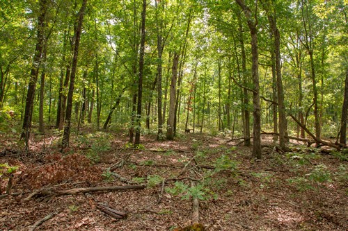 Wagon Wheel Ranch Tract 28