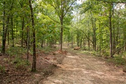 Wagon Wheel Ranch Tract 28