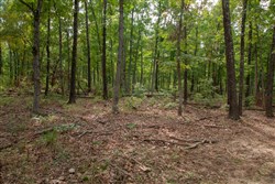 Wagon Wheel Ranch Tract 28