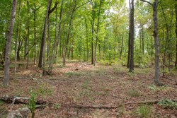 Wagon Wheel Ranch Tract 28