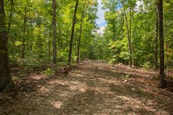 Wagon Wheel Ranch Tract 29