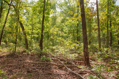 Wagon Wheel Ranch Tract 29