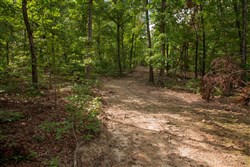 Wagon Wheel Ranch Tract 29