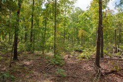 Wagon Wheel Ranch Tract 29