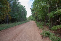property photo for Wagon Wheel Ranch Tract 3, 5 acres for sale in Dent County, Missouri
