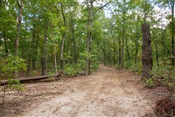 Wagon Wheel Ranch Tract 30