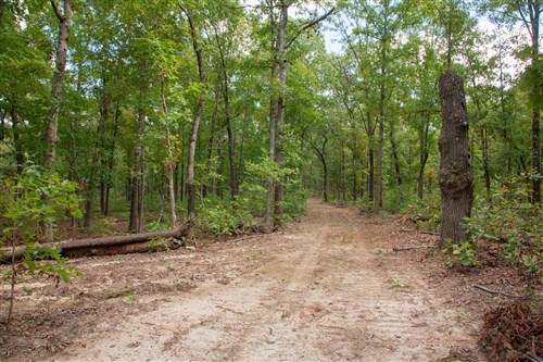 Wagon Wheel Ranch Tract 30