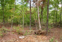 Wagon Wheel Ranch Tract 30