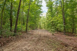 Wagon Wheel Ranch Tract 30