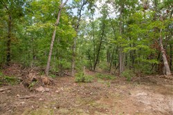 Wagon Wheel Ranch Tract 30