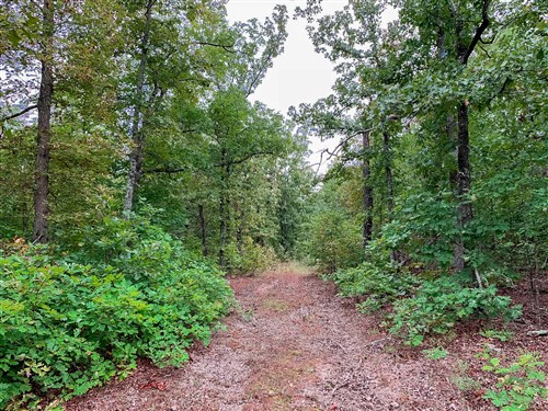 Wagon Wheel Ranch Tract 31