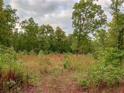 Wagon Wheel Ranch Tract 31