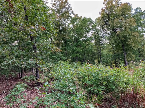 Wagon Wheel Ranch Tract 31