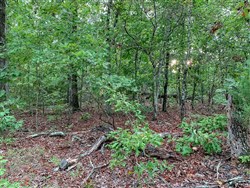 Wagon Wheel Ranch Tract 31