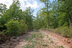 property photo for Wagon Wheel Ranch Tract 32, 11.37 acres for sale in Dent County, Missouri