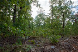property photo for Wagon Wheel Ranch Tract 32, 11.37 acres for sale in Dent County, Missouri