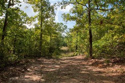 property photo for Wagon Wheel Ranch Tract 32, 11.37 acres for sale in Dent County, Missouri