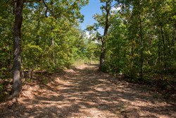 property photo for Wagon Wheel Ranch Tract 33, 5.47 acres for sale in Dent County, Missouri