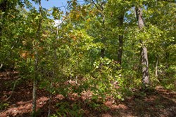 property photo for Wagon Wheel Ranch Tract 33, 5.47 acres for sale in Dent County, Missouri