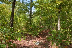 property photo for Wagon Wheel Ranch Tract 33, 5.47 acres for sale in Dent County, Missouri