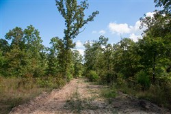 property photo for Wagon Wheel Ranch Tract 34, 6.39 acres for sale in Dent County, Missouri
