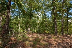 property photo for Wagon Wheel Ranch Tract 34, 6.39 acres for sale in Dent County, Missouri
