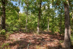 property photo for Wagon Wheel Ranch Tract 34, 6.39 acres for sale in Dent County, Missouri