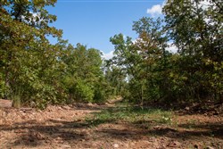 property photo for Wagon Wheel Ranch Tract 34, 6.39 acres for sale in Dent County, Missouri