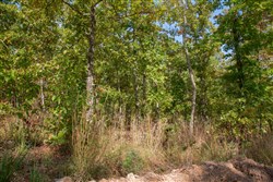 property photo for Wagon Wheel Ranch Tract 34, 6.39 acres for sale in Dent County, Missouri