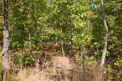 property photo for Wagon Wheel Ranch Tract 34, 6.39 acres for sale in Dent County, Missouri