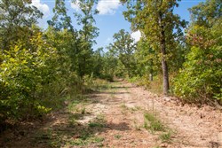 property photo for Wagon Wheel Ranch Tract 35, 11.29 acres for sale in Dent County, Missouri
