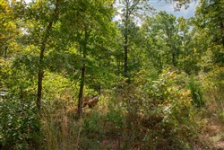 property photo for Wagon Wheel Ranch Tract 35, 11.29 acres for sale in Dent County, Missouri