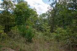 property photo for Wagon Wheel Ranch Tract 35, 11.29 acres for sale in Dent County, Missouri