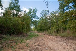 property photo for Wagon Wheel Ranch Tract 35, 11.29 acres for sale in Dent County, Missouri