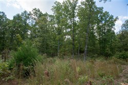 property photo for Wagon Wheel Ranch Tract 35, 11.29 acres for sale in Dent County, Missouri
