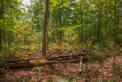 Wagon Wheel Ranch Tract 36