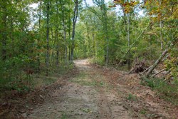 Wagon Wheel Ranch Tract 36