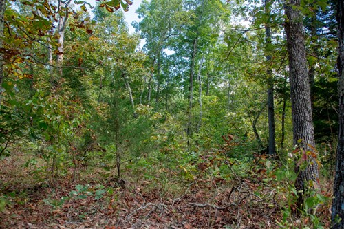 Wagon Wheel Ranch Tract 37