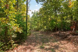 Wagon Wheel Ranch Tract 37