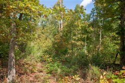 Wagon Wheel Ranch Tract 37