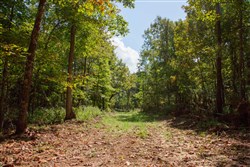 property photo for Wagon Wheel Ranch Tract 38, 10.25 acres for sale in Dent County, Missouri